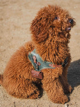 Premium Leather Dog Waste Bag Holder – Elegant and functional dog walking accessory, made from genuine leather.