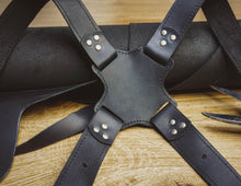 Dual camera leather harness