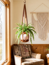 A green fern plant in a brown leather hanging planter suspended in a sunlit room with wood-paneled walls, a window, and a beige armchair below.